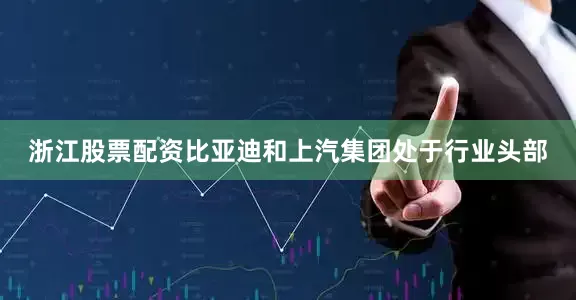 浙江股票配资比亚迪和上汽集团处于行业头部